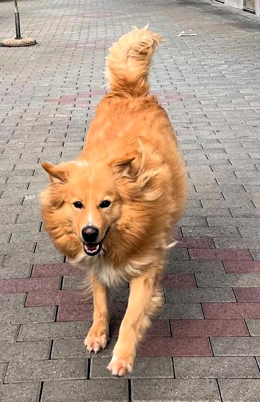 DIOR cerca casa Foto 6